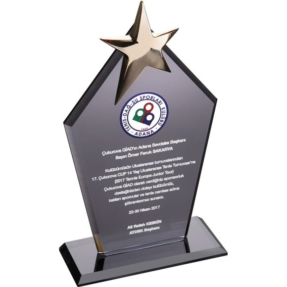 Promosyon Plaket Baskı