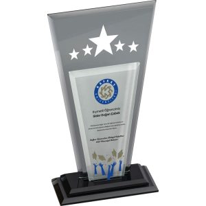 Promosyon Plaket Baskı