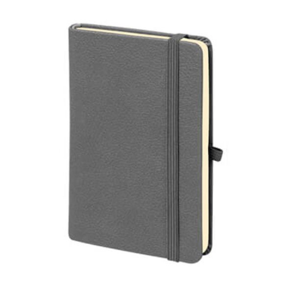 M-701 Aslan Tarihsiz Defter (9×14)