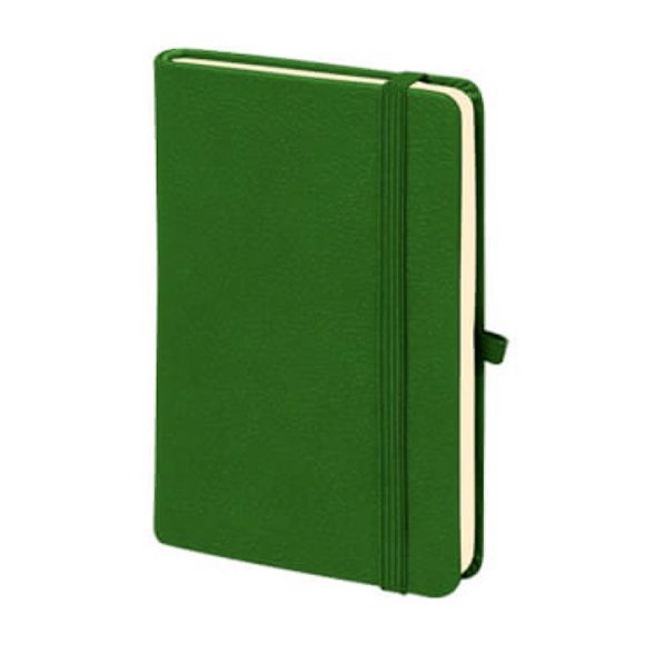 M-701 Aslan Tarihsiz Defter (9×14)
