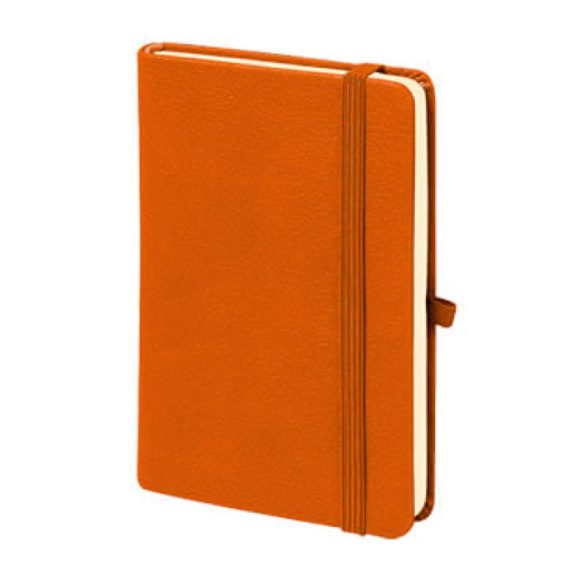 M-701 Aslan Tarihsiz Defter (9×14)