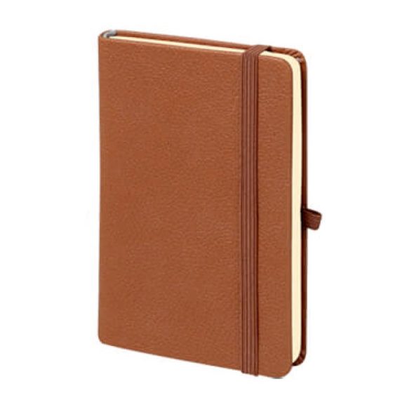 M-701 Aslan Tarihsiz Defter (9×14)