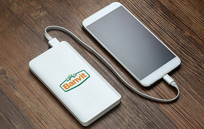 POWERBANK